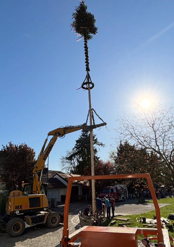 Maibaumaufstellen in Nornheim bei bestem Frühlingswetter ☀️🍻 Da steht er – unser Maibaum 2026! Ein großes Dankeschön an alle Helfer und Bes