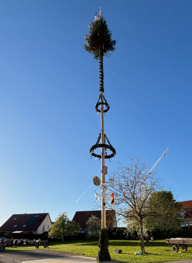 Maibaumaufstellen in Nornheim bei bestem Frühlingswetter ☀️🍻 Da steht er – unser Maibaum 2026! Ein großes Dankeschön an alle Helfer und Bes